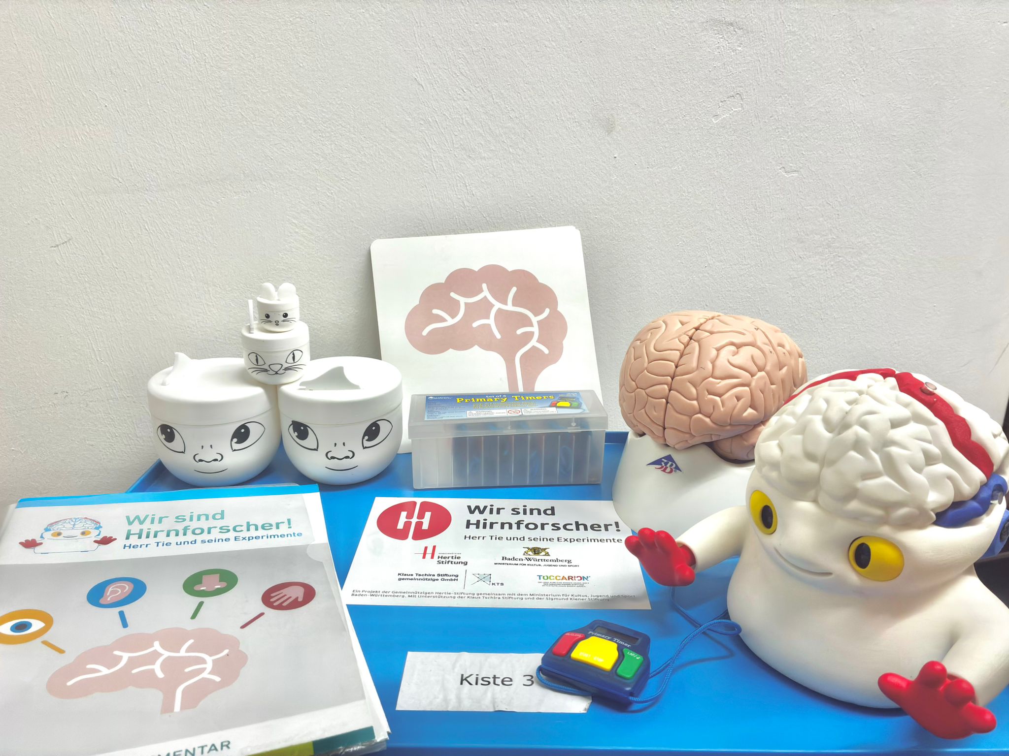 Hirnforscher Box